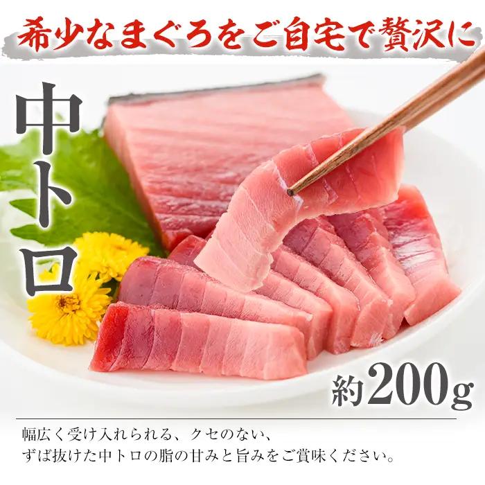 南まぐろ 中トロセット 約600g（上トロ、中トロ、赤身）まぐろ【00-019-02】