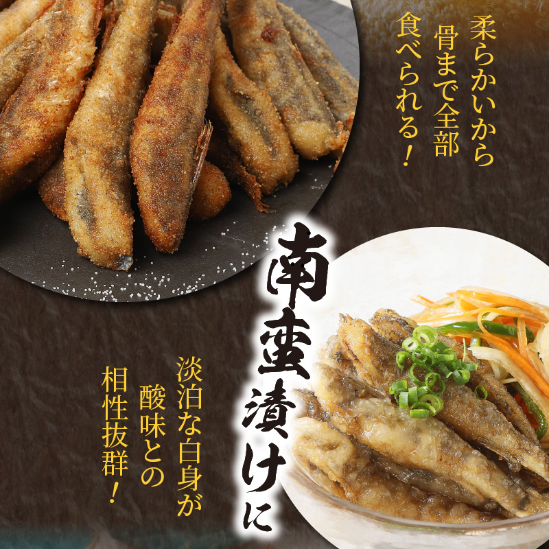 【訳あり】天然めひかり(極小ｻｲｽﾞ)500g×4袋 N124-YZA0397_イメージ4