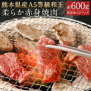 【ふるさと納税】熊本県産A5等級和王 柔らか赤身焼肉 合計約600g 約300×2パック 和牛 赤身 焼き肉 お肉 精肉 九州産 国産 冷凍 送料無料