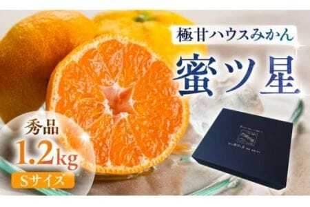 ≪今が旬！≫ 濃厚ハウスみかん『蜜ツ星』秀品 1.2kg（Sサイズ15玉）みかん