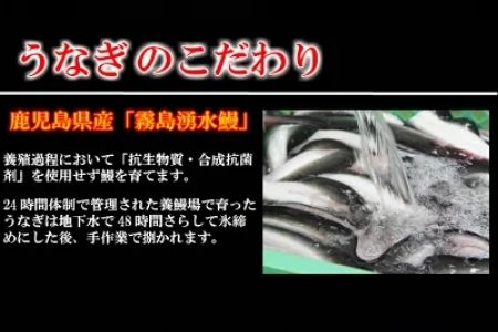 (一粒庵) うなぎおこわ 6食セット 125g×6(合計750g) 簡単調理 蒲焼 「2023年 令和5年」