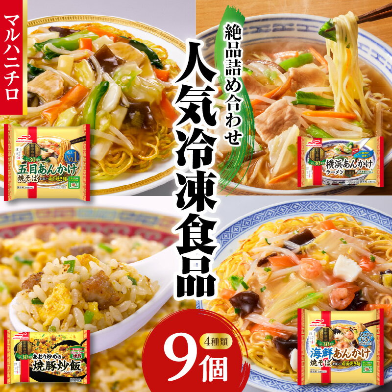 【ふるさと納税】 マルハニチロ 冷凍食品 詰合せセット 4種類 合計9個セット レトルト 冷凍 手軽 セット 詰め合わせ 便利 簡単調理 時短 食べ比べ