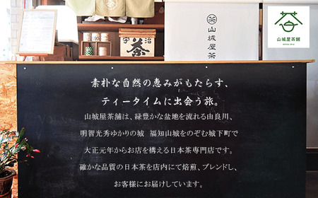 [5gパック×25個入り]京都福知山産 水出し用ティーパック玉露 ふくちやま茶 FCD004