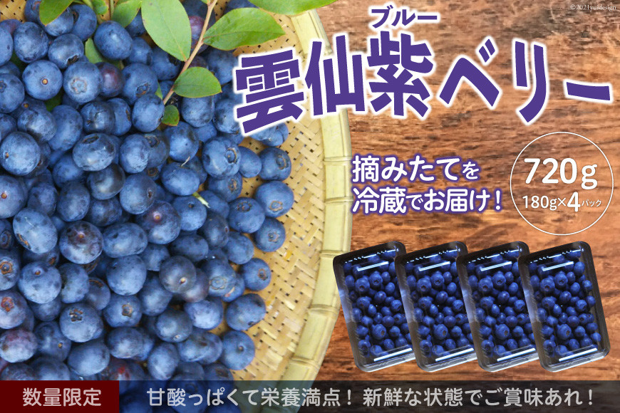 
            【期間限定発送】【摘みたてを冷蔵でお届け！】雲仙ブルーベリー720g (180g×4パック) [雲仙ブルーベリー研究会 長崎県 雲仙市 item2198] ブルーベリー 4パック 果物 フルーツ 冷蔵 摘みたて
          