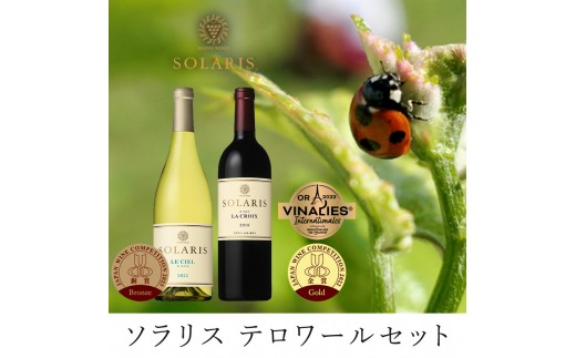 
                  テロワールセット(紅白セット)  ワイン お酒 赤ワイン 白ワイン ワインセット 果実味 しっかりしたタンニン[№5915-1275]
                