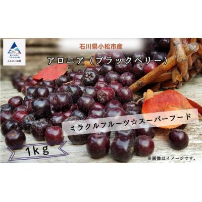 ふるさと納税 小松市 ベリー アロニア 1kg 果物 フルーツベリー