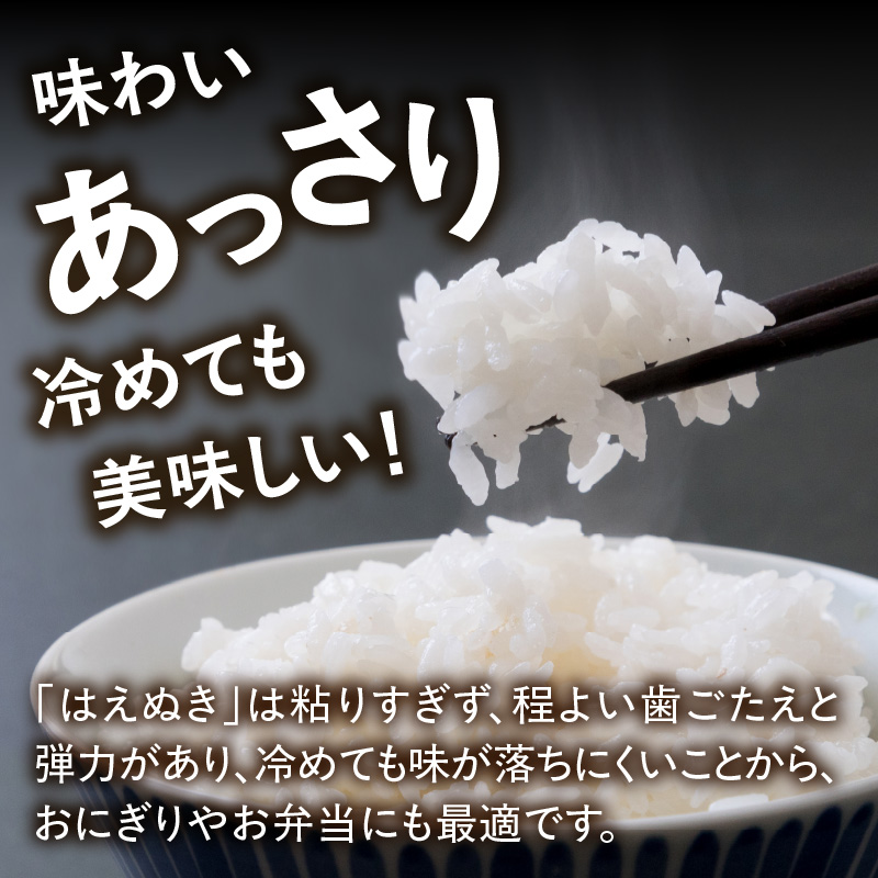 山形県産 はえぬき 5kg【2025年度産米】