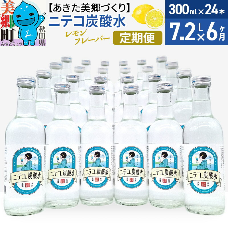 【ふるさと納税】《定期便6ヶ月》ニテコ炭酸水(レモン) 300ml×24本入 「水の郷」の炭酸水 ご当地炭酸水 [炭酸水 ニテコ炭酸水 300ml 24本 まとめ買い ご当地]