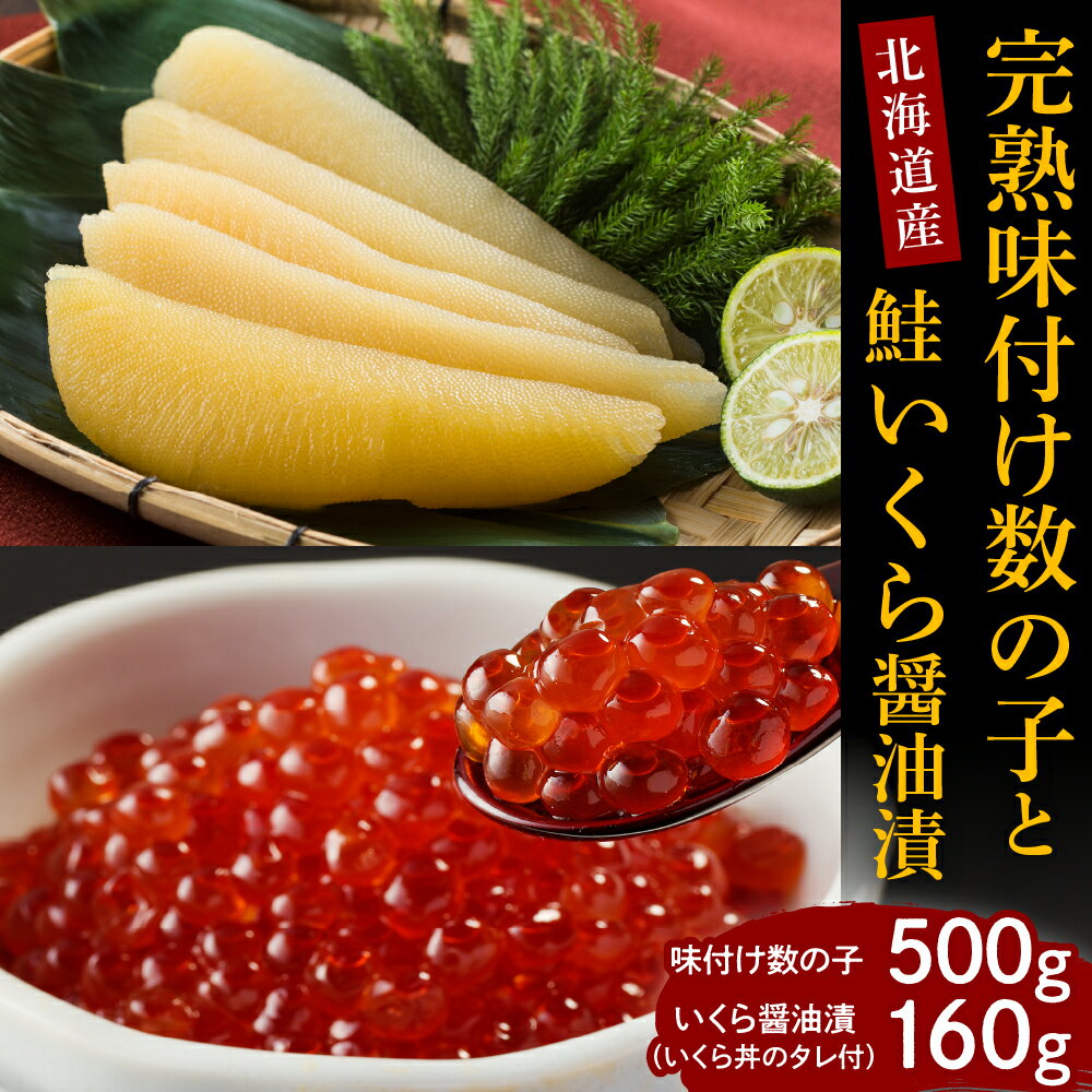 【ふるさと納税】【2025年10月以降発送】 完熟 味付け 数の子 500g 鮭 いくら 醤油漬 160g セット / 先行予約 イクラ 鮭イクラ 鮭いくら 醤油漬け いくら醤油漬け 国産 北海道産 特製たれ かずのこ 魚介 海鮮 海産物 人気 送料無料 北海道 えりも町