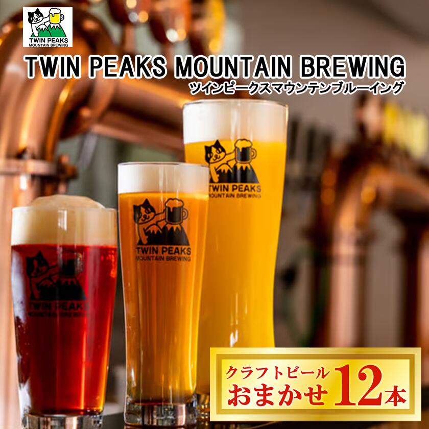 【ふるさと納税】Twin Peaks Mountain Brewing クラフトビールおまかせ12本セット | つくば市 ふるさと納税 クラフトビール ビール お酒 酒 麦酒 麦芽 ホップ ドイツ ドイツビール 飲み比べ