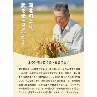 ふるさと納税 河北町 【令和6年産米】2025年5月上旬発送 はえぬき10kg 山形県産 【米COMEかほく】 |  | 01