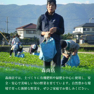 野菜 夏野菜 セット 6～8品目 1人～2人用 野菜 夏野菜 野菜 夏野菜