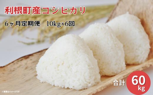 【6ヵ月定期便】利根町産コシヒカリ　精米10kg×6回