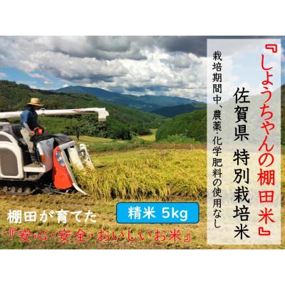 ふるさと納税 多久市 令和7年産『しょうちゃんの棚田米』　　【精米5kg】栽培期間中農薬不使用 れんげ緑肥育ちの棚田米