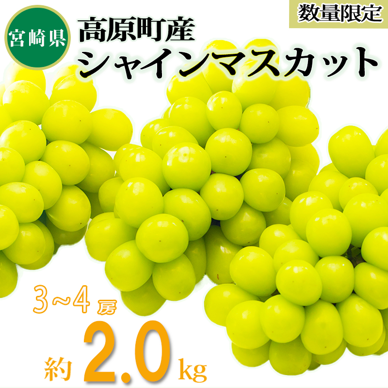 【先行受付・数量限定】久保ぶどう園のシャインマスカット約2kg（3～4房） TF0394-P00005