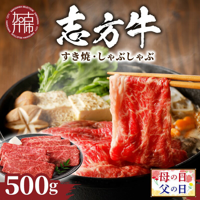 【ふるさと納税】＼母の日・父の日／★選べる発送月★志方牛しゃぶしゃぶ・すき焼（500g）《 鍋 お鍋 牛しゃぶ 牛肉 和牛 おすすめ 切り落とし肉 セット すき焼き 冷凍 国産 送料無料 肉 お取り寄せ 選べる 選べる発送月 贈答用 ギフト プレゼント 贈り物 》