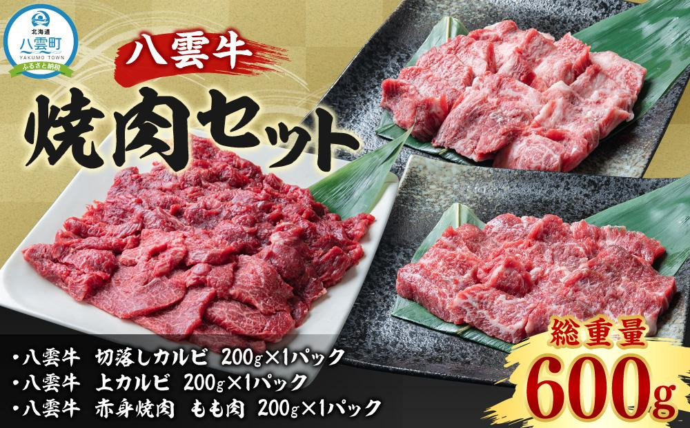 
八雲牛 焼肉セット 総重量600g 【 牛肉 肉 北海道 八雲町 年内発送 年内配送 】
