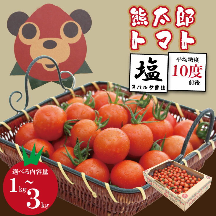 【ふるさと納税】【先行予約】【令和8年1月中旬頃より出荷】 熊太郎とまと （1kg・2kg・3kg）選べる 甘さ 濃縮 トマト 塩 スパルタ 栽培 ビタミン豊富 採れたて　ベアーズファーム 佐賀県産 送料無料 tomoto 【B130-059】
