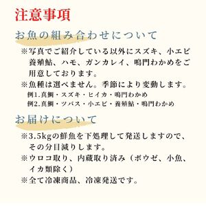 鳴門海峡冷凍鮮魚セット 3.5kg （ 4～5種 ） 訳あり 鮮魚 魚 冷凍 魚介類 訳あり 海鮮 水産 詰め合わせ 詰合せ お魚 セット 下処理 小分け 訳あり 鮮魚セット 魚 冷凍 訳あり 魚介類