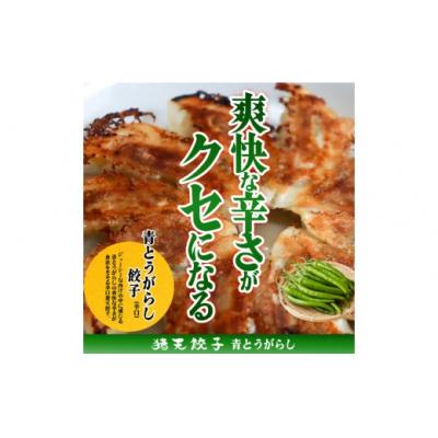 ふるさと納税 春日井市 【青とうがらし餃子】【12ヶ月定期便】春日井の中華料理店四川監修タレなし生餃子「猪天餃子」 12ヶ月 |  | 01
