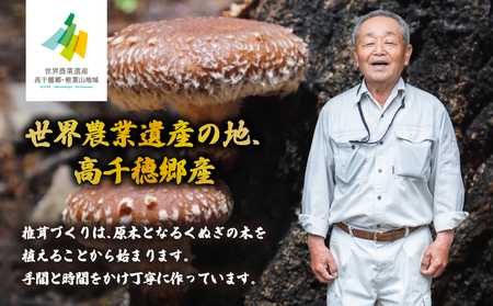 【6ヶ月定期便】乾燥しいたけ 240g（40g×6袋）×6回 1,440g しいたけ 定期便 定期 定期的 国産 宮崎県産 原木 栽培 乾燥 干し椎茸 原木椎茸 国産しいたけ 小分け 袋 小袋 普段使