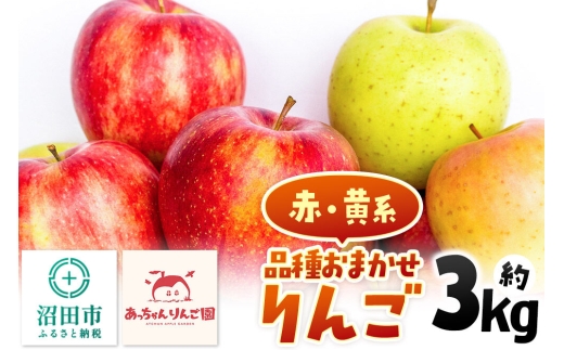 《11月上旬～下旬にお届け》品種おまかせ りんご 約3kg（7～10個前後）箱入り あっちゃんりんご園 [林檎 りんご リンゴ 3kg フルーツ 果物 くだもの 群馬県 沼田市]