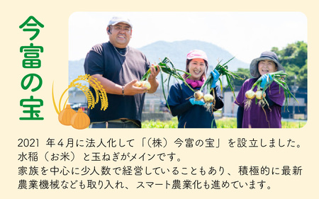 【先行予約】福井県産玉ねぎ　ケルたまルビー　5kg【2024年7月上旬より順次発送】[Y-086002]