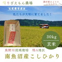 【ふるさと納税】《新米予約受付》令和6年産　南魚沼産　コシヒカリ　こしひかり　魚野川流域　特A地区　匠 雲蝶(たくみ　うんちょう）玄米30kg　＼生産農家直送／ | お米 こめ 食品 コシヒカリ こしひかり 人気 おすすめ 送料無料 魚沼 南魚沼 南魚沼市 新潟県 玄米 産直