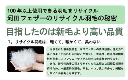 羽毛布団 綺麗なリサイクルダウン 羽毛布団 シングル 掛け布団 肌掛け布団 羽毛 日本製 冬 毛布 保温 あったかい 抗菌 防臭 広島県福山市/株式会社ハシモト[BACV020]
