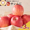 【ふるさと納税】《 先行予約 》【 訳あり 】 サンふじ 約3kg ( 配送時期が選べる 12月 1月) / 青森産 りんご 林檎 アップル 不揃い 規格外 常温保存 秋 旬 果物 くだもの フルーツ 国産 青森県 五所川原市