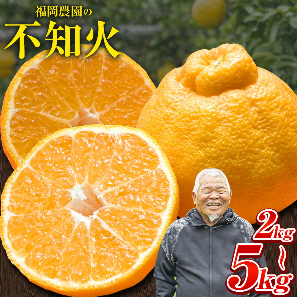 【ふるさと納税】 不知火 福岡農園 不知火 2kg 5kg《1-5日以内に出荷予定(土日祝除く)》熊本県 氷川町 柑橘 果物 フルーツ shiranui しらぬい 柑橘 旬 フルーツ 熊本県産 速攻出荷 みかん