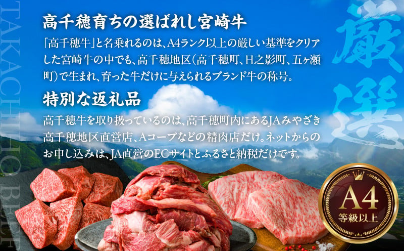 宮崎県産黒毛和牛A4等級以上 高千穂牛焼肉（ロース&上カルビ）・すき焼き用(ロース・モモ)セット 計1kg A142