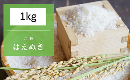 【令和7年産新米】 天日干しの手間をかけた (新米はえぬき) 丹野さん家のコメ 精米 1kg FY25-333