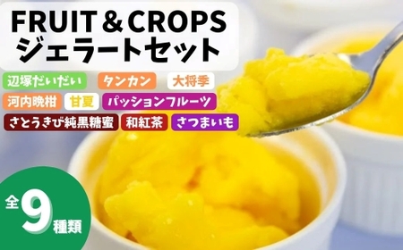 【A83004】南のくだもの王国 南のFRUIT＆CROPS ジェラート セット (9種 9個入り) ジェラート アイスクリーム アイス スイーツ フルーツ おやつ デザート お菓子 冷凍 冷凍食品 ギフト 甘夏 タンカン 柑橘 大将季 【農地所有適格法人株式会社P＆Y'sLabo】