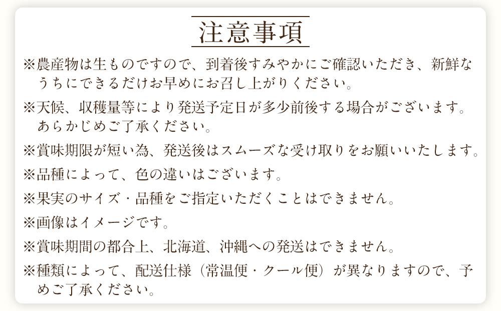 【定期便全3回】産直・厳選フルーツ定期便【TM190】