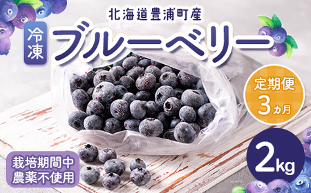 【定期便3カ月】北海道 豊浦町産 冷凍 ブルーベリー 2kg 栽培期間中農薬不使用 【 ふるさと納税 人気 おすすめ ランキング 果物 ブルーベリー 冷凍ブルーベリー 国産ブルーベリー 濃厚ブルーベリー 大容量 無農薬 おいしい 美味しい あまい 新鮮 定期便 北海道 豊浦町 送料無料 】 TYUS009