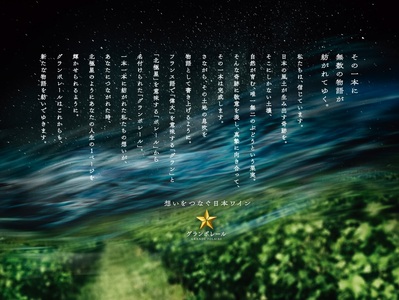 グランポレール　北斗メルロー2023　シャルドネ2024　各1本セット 【 ふるさと納税 人気 おすすめ ランキング ワイン わいん 赤ワイン 白ワイン メルロー シャルドネ サッポロビール 葡萄 ぶ