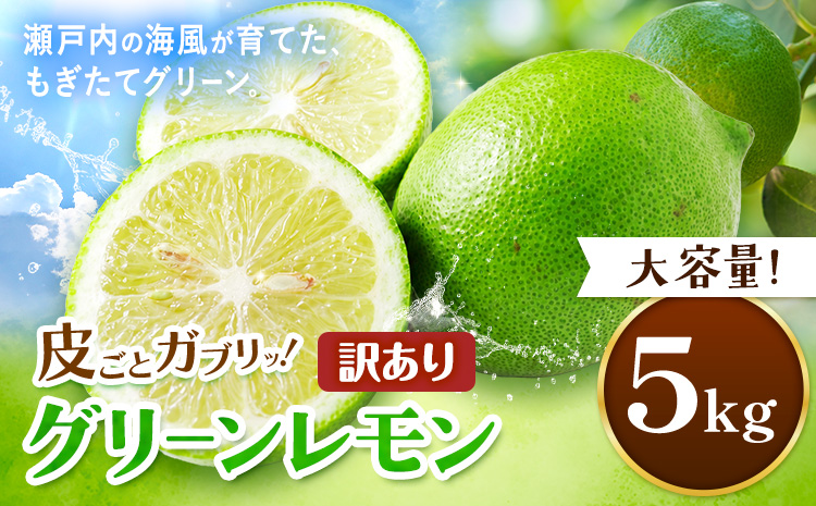 【先行予約】皮ごとガブリ！ 三ツ山 グリーン レモン 訳あり 5kg 三ツ山レモンファーム《9月下旬-3月中旬頃出荷》岡山県 浅口市 れもん 檸檬 防腐剤不使用 ワックス不使用 送料無料