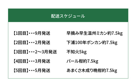 S040-018A_【訳あり 定期便5回】天草 下浦地区の農家が愛情込めて育てた柑橘5種〈先行予約〉 / 【定期便5回】 農家が愛情込めて育てた 訳あり 柑橘 5種 先行予約 早摘み 早生 温州 みか