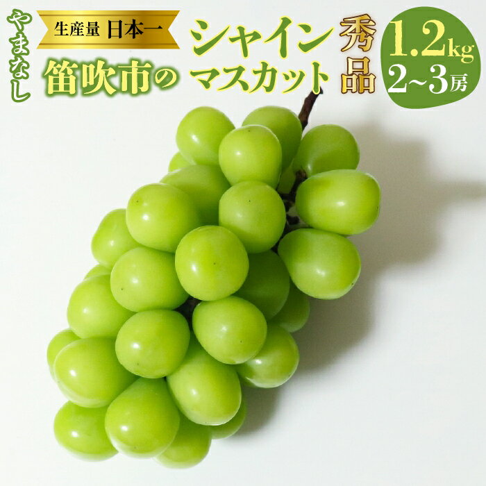 【ふるさと納税】【2026年発送★先行予約】【2026年8月下旬～順次発送】山梨県 笛吹産 シャインマスカット 1.2kg（2〜3房）秀品 ふるさと納税 おすすめ ランキング シャインマスカット 笛吹市 国産 人気 期間限定 ぶどう ブドウ 葡萄 旬 果物 フルーツ 山梨県 215-008