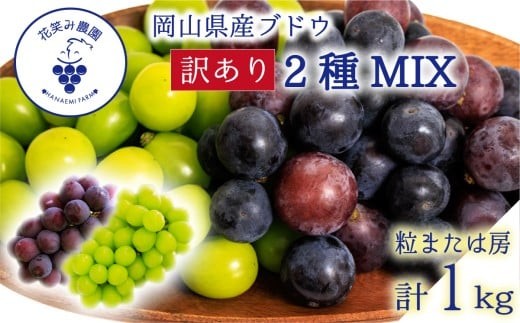 
            【2026年先行予約】 ぶどう 岡山 【訳あり】 花笑み農園の ぶどうおまかせ2種 （計1kg分お届け！） 農園厳選  / ぶどう ブドウ 葡萄 シャインマスカット ピオーネ クイーンニーナ オーロラブラック 瀬戸ジャイアンツ 翠峰 BKシードレス マスカサーティーン マスカットノワール 雄宝 マイハート 真庭市 【hana049-02】
          