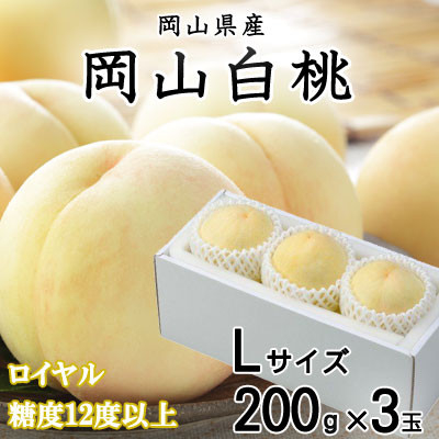 
            ＜先行受付＞岡山白桃 ロイヤル 3玉×200g (Lサイズ) 岡山県産【1305716】
          
