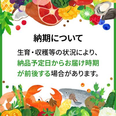 ふるさと納税 秋田市 先行受付《定期便6ヶ月》あきたこまち5kg 白米|15_kml-010506hs |  | 01