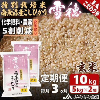 ふるさと納税 南魚沼市 【毎月定期便】特別栽培米南魚沼産こしひかり「雪穂」 玄米 10kg(5kg×2袋) 全3回