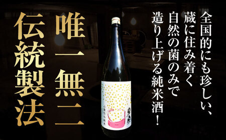 【3回定期便】 定番酒！米宗 山廃純米 日本酒 純米 飲料 愛西市 / 青木酒造株式会社[AEAC012]