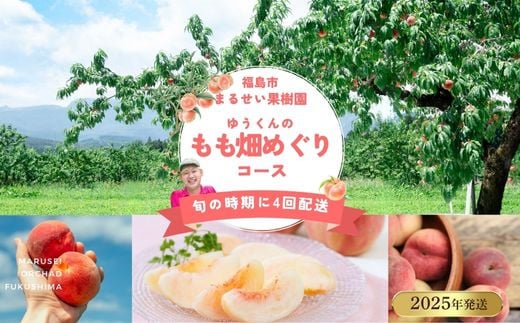 
            No.2365まるせい果樹園 【定期便4回】ゆうくんのもも畑めぐりコース【2025年発送】
          