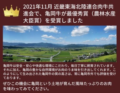 亀岡牛 焼肉 4種セット【600g】＜亀岡牛専門 木曽精肉店＞ ※冷凍（冷蔵も指定可） ☆祝！亀岡牛 2021年最優秀賞（農林水産大臣賞）受賞≪和牛 牛肉 赤身 モモ 霜降り バラ ロース 肉 牛肉 