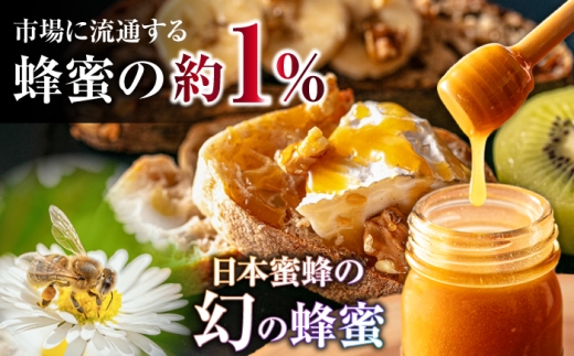 超希少【天然】日本蜜蜂の生はちみつ 花粉蜜 100g ハニーディッパー付き　日田市/総合環境計画研究所 the honey shop [ARBN004]