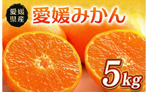 温州みかん 秀品 5kg 愛媛県 四国中央市産 品種厳選 送料無料 果物 フルーツ