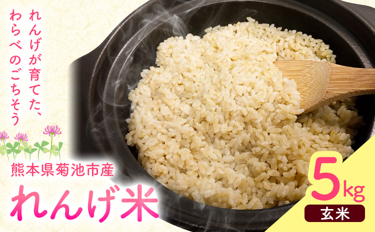 熊本県菊池市産のれんげ米 5kg 《30日以内に出荷予定(土日祝除く)》  精米方法 玄米 お米 レンゲ米 熊本県産 九州産 送料無料